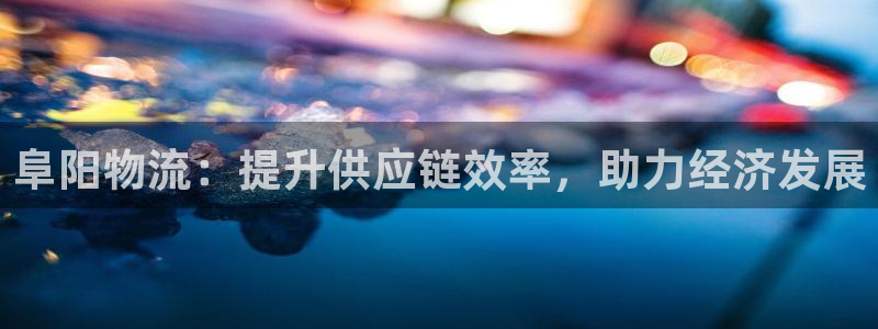 28圈怎么下载：阜阳物流：提升供应链
