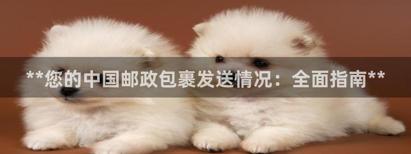 28圈麻将胡了在线试玩：**您的中国