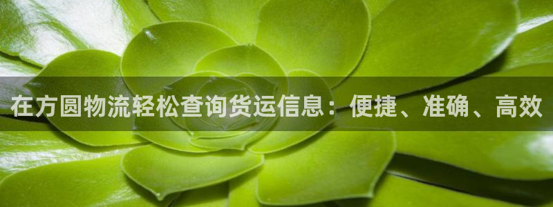28圈下载二维码怎么弄：在方圆物流轻