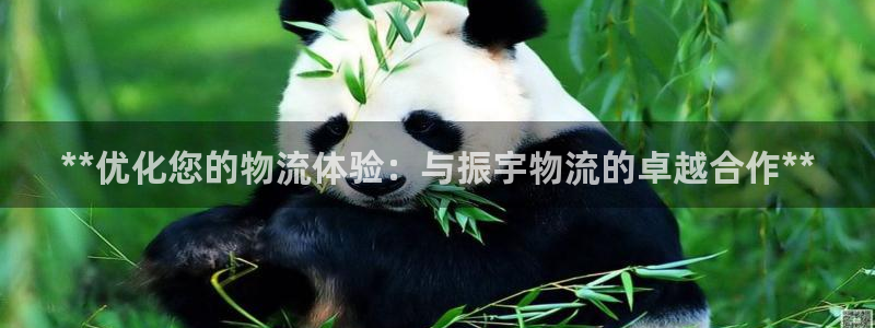 28圈预测网：**优化您的物流体验：