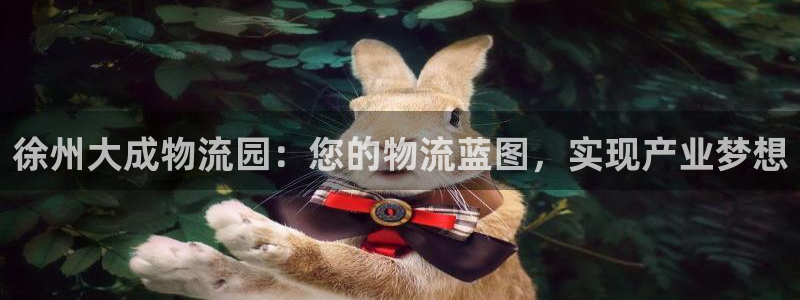 28圈v6能卖多少：徐州大成物流园：