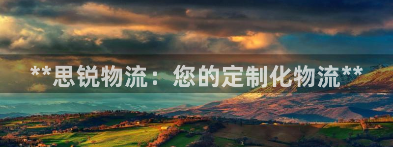28圈注册官网：**思锐物流：您的定