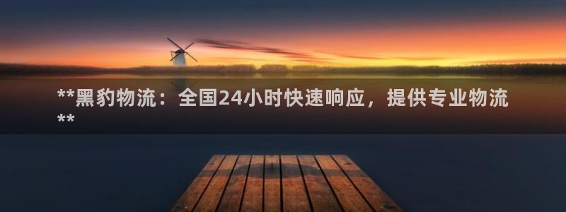 28圈退款教程：**黑豹物流：全国2