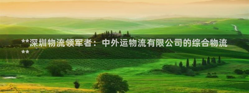 28圈官方：**深圳物流领军者：中外
