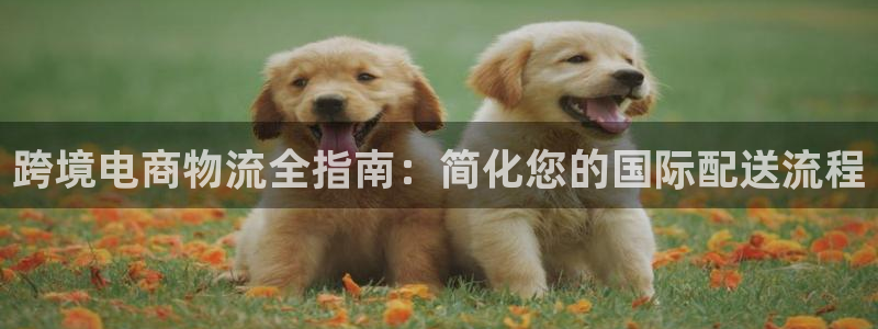 28圈下载不了：跨境电商物流全指南：