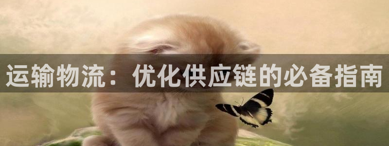 28圈官方版正版：运输物流：优化供应