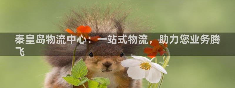 28圈可靠吗：秦皇岛物流中心：一站式
