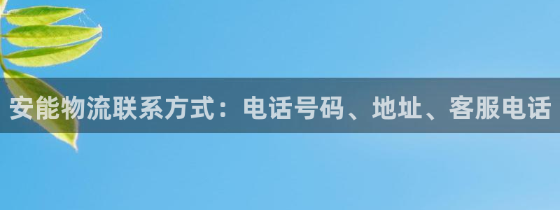 28圈相信品牌的力量：安能物流联系方
