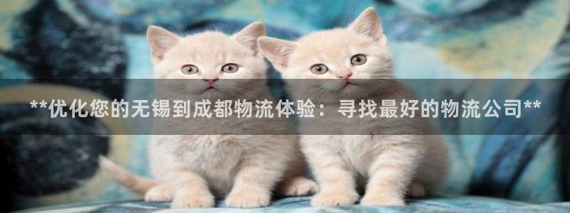 28圈注册网站APP：**优化您的无