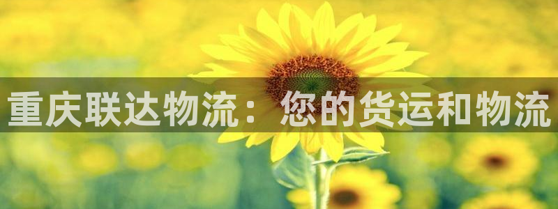 28圈反水：重庆联达物流：您的货运和