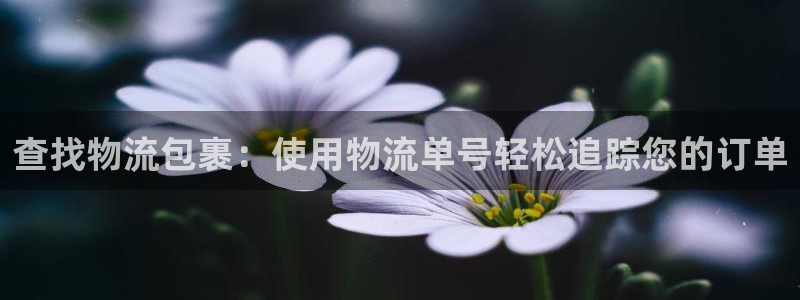 28圈忘记账号：查找物流包裹：使用物