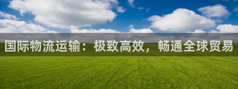 28圈玩法：国际物流运输：极致高效，