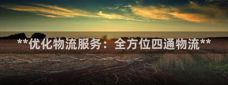 28圈里的财神：**优化物流服务：全