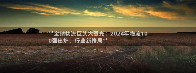 28圈口内径是多大：**全球物流巨头