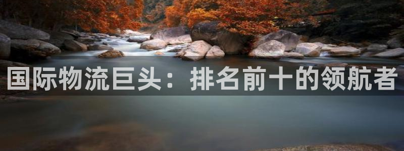 28圈官方网站预测：国际物流巨头：排