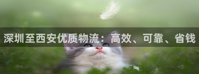 28圈娱乐官网网页：深圳至西安优质物
