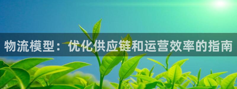 南宫28圈官网版：物流模型：优化供应