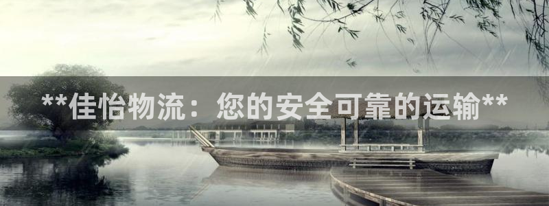 28圈官方网站预测：**佳怡物流：您