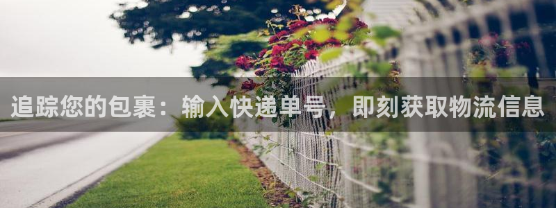28圈游戏链接：追踪您的包裹：输入快