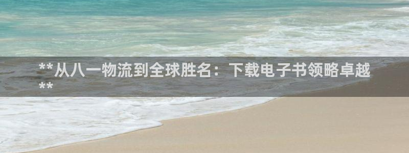 28圈游戏：**从八一物流到全球胜名