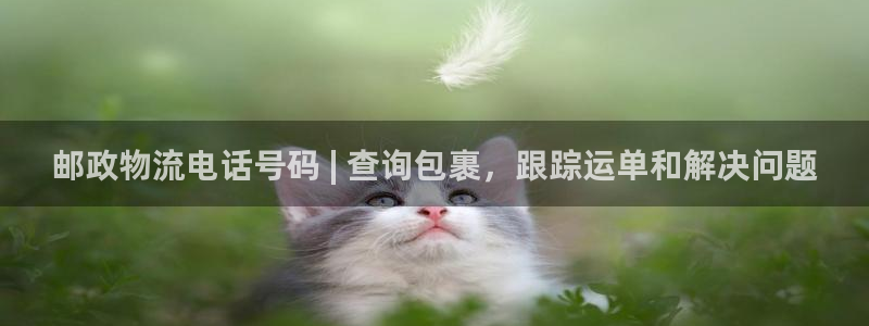 28圈代理落网：邮政物流电话号码 |