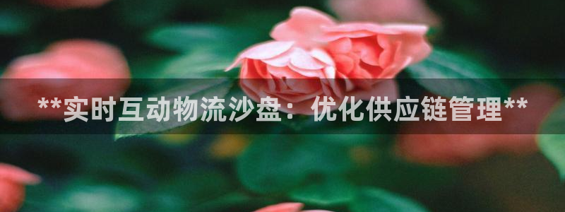 28圈网站平台是多少：**实时互动物