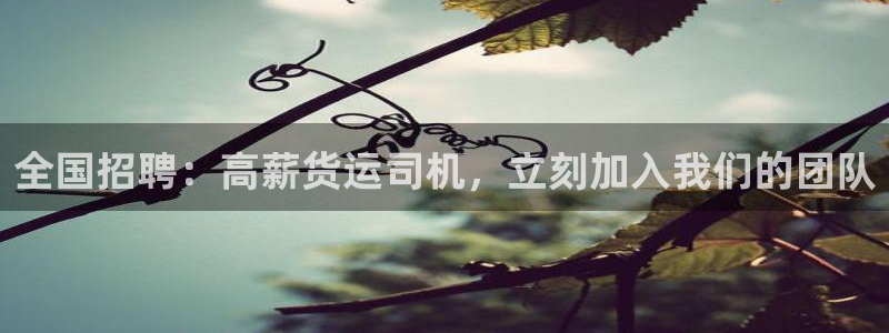 28圈怎么注册下载：全国招聘：高薪货