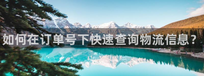 28圈下载不了：如何在订单号下快速查