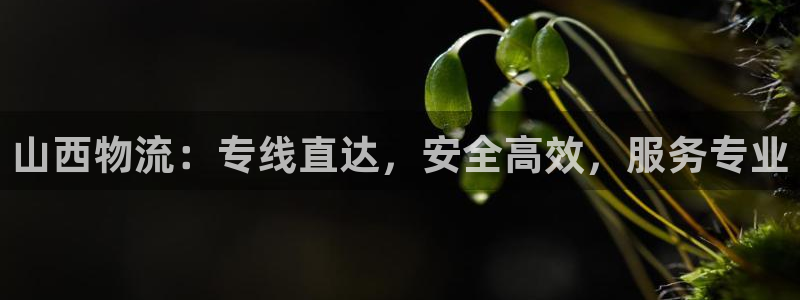 28圈加拿大28：山西物流：专线直达