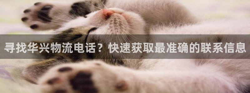 28圈免费充钱：寻找华兴物流电话？快速获取最准确的联系信息