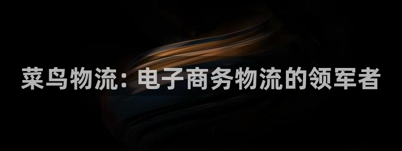 28圈注册入口与教程：菜鸟物流: 电子商务物流的领军者