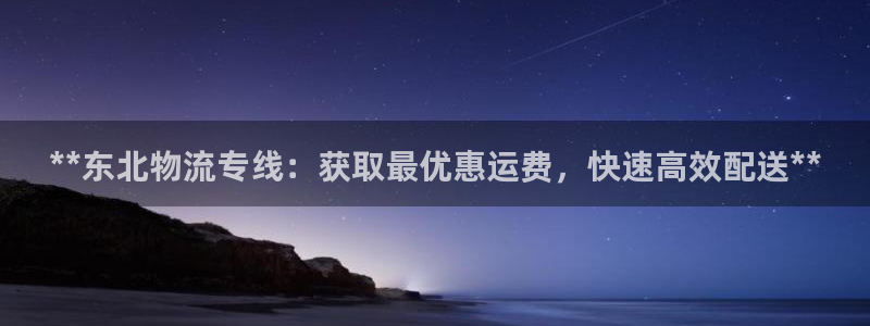 28圈ccm游戏：**东北物流专线：