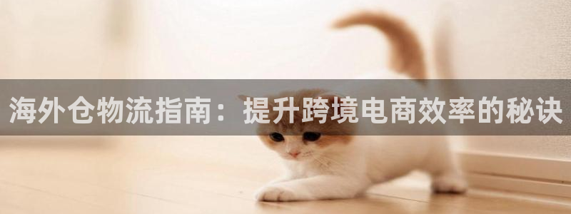 28圈连接：海外仓物流指南：提升跨境