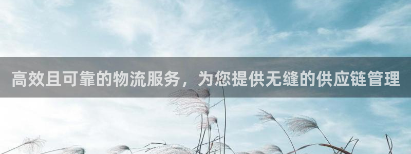 28圈是啥：高效且可靠的物流服务，为