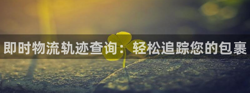 28圈人工客服电话是什么：即时物流轨