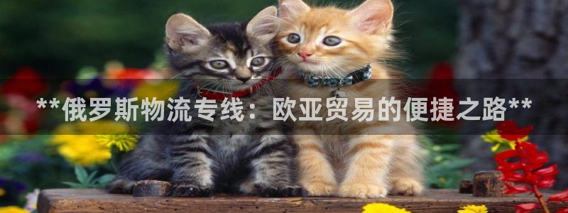 南宫28圈官网：**俄罗斯物流专线：