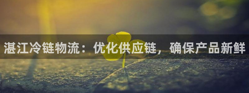 28圈注册入口与教程：湛江冷链物流：