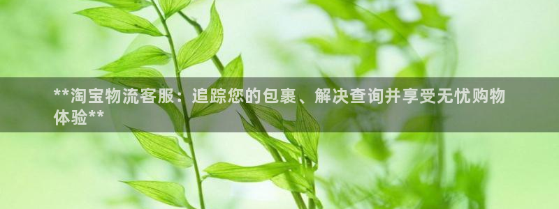 28圈游戏链接：**淘宝物流客服：追