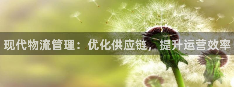 28圈登录网：现代物流管理：优化供应