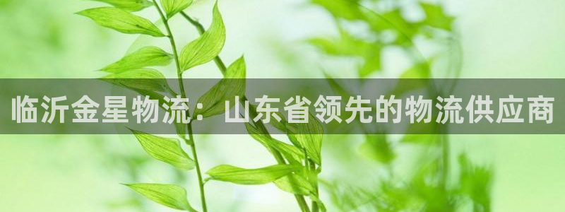 28圈如何注销账号：临沂金星物流：山