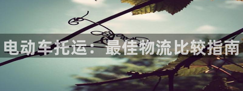 自行车28圈是什么意思：电动车托运：