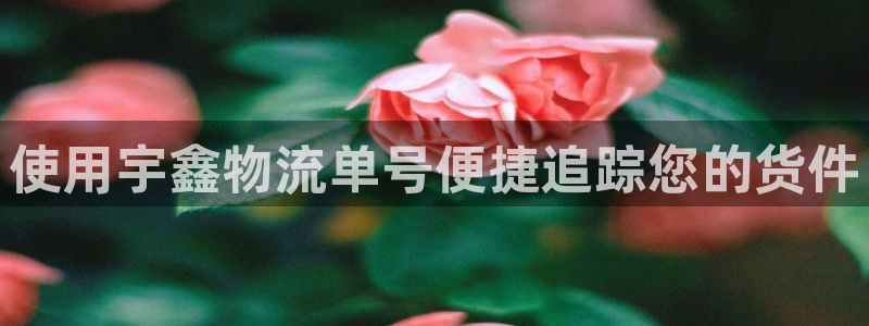 28圈怎么下载不了：使用宇鑫物流单号