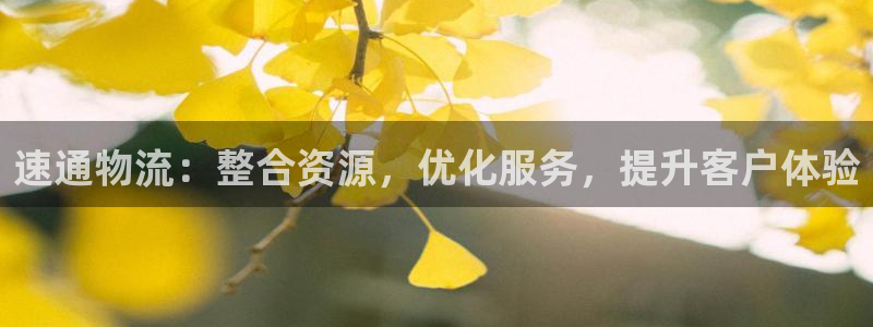 28圈下载体育