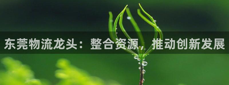 28圈注册网站多少