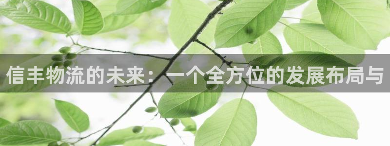 28圈加拿大开奖