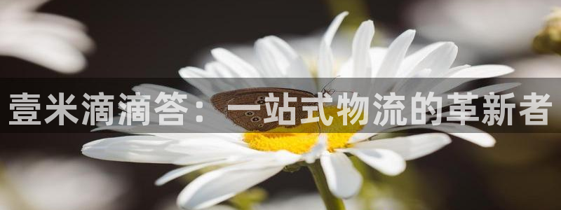 28圈注册入口与教程