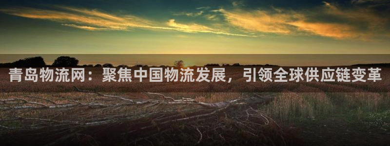 28圈头像