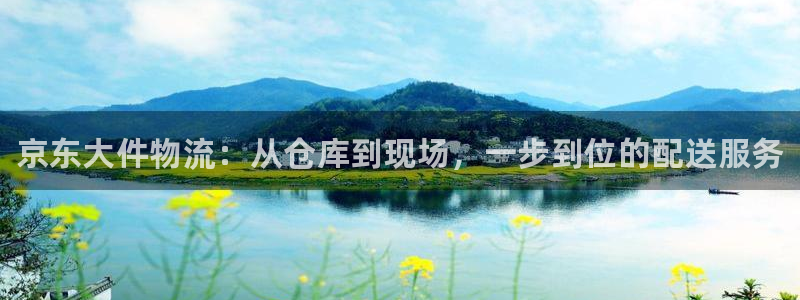 28圈黑不黑：京东大件物流：从仓库到