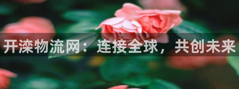 28圈忘记账号：开滦物流网：连接全球