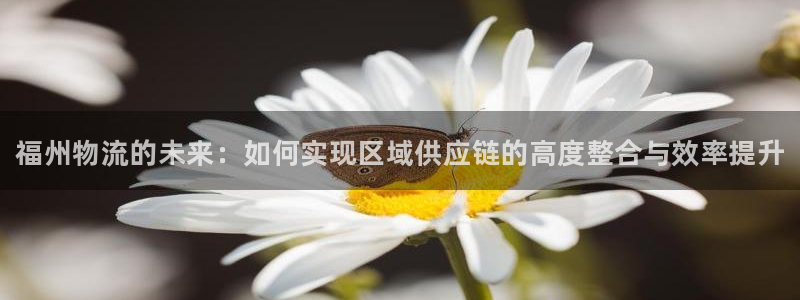 28圈为什么打不开：福州物流的未来：